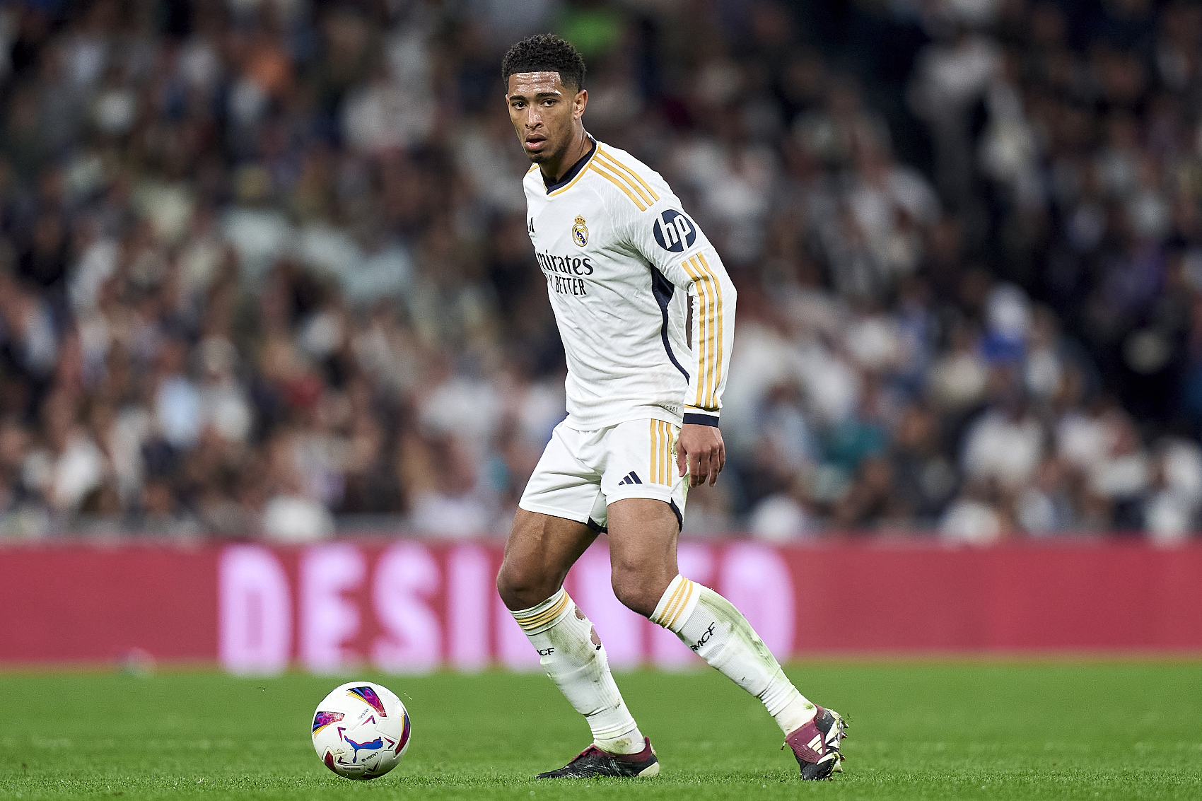 大利亚队的 大利亚队的